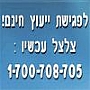 מכון רביב