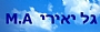 גל יאירי - אבחון דידקטי, הוראה מתקנת, אסטרטגיות למידה, אימון הצלחה בלימודים לתלמידים ולסטודנטים.