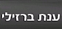 -  ענת ברזילי - בית ספר למשחק -