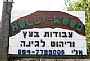 holly-wood - פתרונות יצירתיים לבית ולגינה, עבודות בעץ, ריהוט לגינה, ריהוט למסעדות, ריהוט לבתי קפה, פינות זולה, מערכות ישיבה נמוכות 