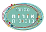 אורות בזכוכית - לימודי אמנות בזכוכית