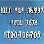 מכון רביב- פיתוח כישורי למידה וקשב